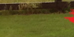 Impact Hampshires