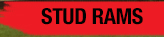 Stud Rams
