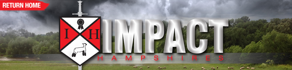 Impact Hampshires