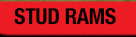 Stud Rams